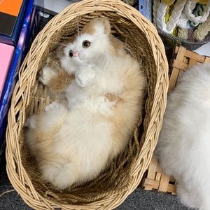 Meet your Posher, Wilbania